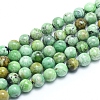 Natural Variscite Beads Strands G-G823-02-8mm-1