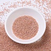 MIYUKI Delica Beads SEED-J020-DB0054-2