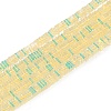 Electroplate Glass Beads Strands GLAA-B023-01A-05-1