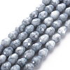 Opaque Baking Painted Glass Beads Strands EGLA-N006-007E-1