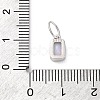 925 Sterling Silver Cubic Zirconia Charms STER-NH0014-01P-06-3