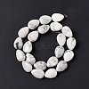 Natural Howlite Beads Strands G-L242-13-4