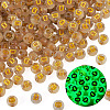 50G Luminous Transparent Acrylic Beads OACR-TAD0001-01D-3