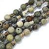 Natural Silver Leaf Jasper 3-Hole Guru Bead Strands G-K149-29-1