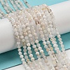 Natural Rainbow Moonstone Beads Strands X-G-A097-A02-03-2