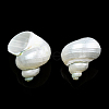 Natural Spiral Shell Beads X-SSHEL-N034-126-3