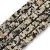Natural Dalmatian Jasper Beads Strands G-A280-C07-01-3
