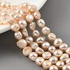Natural Cultured Freshwater Pearl Beads Strands PEAR-A006-08B-1