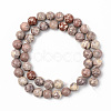 Natural American Turquoise Beads Strands G-S369-001D-B08-2