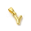 Rack Plating Brass Charms KK-C053-04G-Y-1
