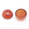 Natural Carnelian Cabochons X-G-P215-15-12mm-1