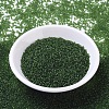 MIYUKI Round Rocailles Beads SEED-G007-RR0158F-1