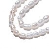 Natural Cultured Freshwater Pearl Beads Strands PEAR-N012-02I-4