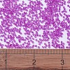 MIYUKI Delica Beads SEED-JP0008-DB1310-4