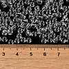 Transparent Colours Glass Seed Beads SEED-P007-02A-11-4