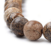 Natural Picture Jasper Beads Strands G-S259-27-6mm-3