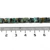 Natural African Turquoise (Jasper) Beads Strands G-Z045-A10-01-5