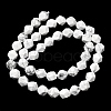 Natural Howlite Beads Strands G-Z119-A43-02-4
