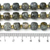 Natural Labradorite Beads Strands G-Q010-A25-01-5