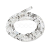 Gradient Color Electroplate Glass Bead Strands GLAA-E042-05-B02-3