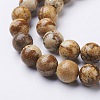 Natural Gemstone Beads Strands GSR10mmC016-2