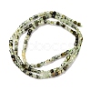 Natural Prehnite Beads Strand G-RM241221-K3-5
