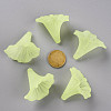Transparent Acrylic Beads BSF796-C17-5