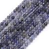 Natural Cordierite/Iolite/Dichroite Beads Strands G-E411-39-2mm-1