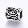 304 Stainless Steel Beads STAS-X0017-24AS-2