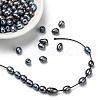 Large Hole Pearl Beads PEAR-R064-03-5