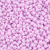 8/0 Opaque Glass Seed Beads X1-SEED-S048-N-004-3