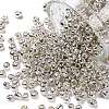 12/0 Glass Seed Beads E0690042-1