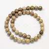 Natural Fossil Coral Round Bead Strands X-G-N0166-05-6mm-4