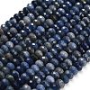 Natural Sodalite Beads Strands G-C280-A01-02-2