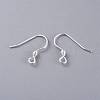 304 Stainless Steel Earring Hooks STAS-K210-26S-2
