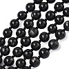 Natural Black Silver Line Jasper Beads Strands G-L650-K01-01-2