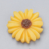 Resin Cabochons LS-CRES-Q197-24E-1