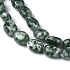 Natural Green Spot Jasper Beads Strands G-Z006-A22-2