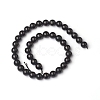 Natural Shungite Beads Strands G-I271-C03-10mm-2