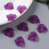 Autumn Theme Transparent Frosted Acrylic Pendants X-PAF002Y-26-7