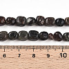 Natural Biotite Beads Strands G-N346-04A-02-5