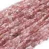 Natural Madagascar Rose Quartz Beads Strands G-I389-A03-2