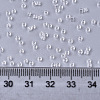 Glass Seed Beads SEED-S042-11B-08-4