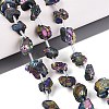 Electroplate Raw Rough Natural Amethyst Beads Strands G-Q610-06C-1