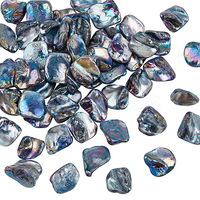 5 Strands Freshwater Shell Beads Strands SHEL-NB0001-58-1