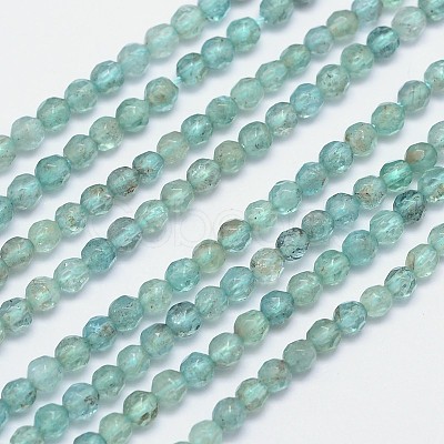 Faceted Round Natural Apatite Bead Strands G-I156-05-1