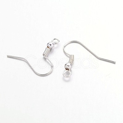 Iron Earring Hooks J07JW-S-1