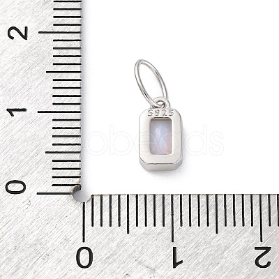925 Sterling Silver Cubic Zirconia Charms STER-NH0014-01P-06-1