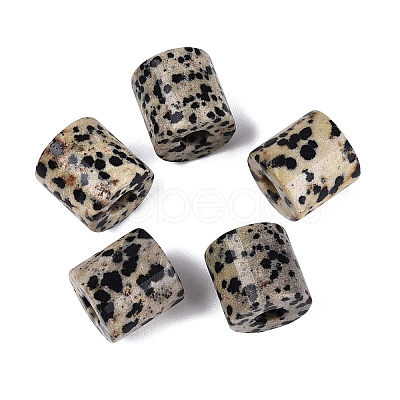 Natural Dalmatian Jasper European Beads G-P520-05E-1