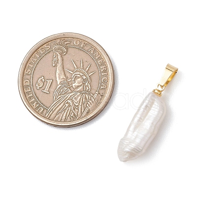 Natural Baroque Pearl Keshi Pearl Pendants PALLOY-JF04998-1